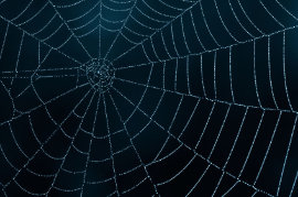 Mit Hypnose-Therapie Ängste und Phoien überwinden